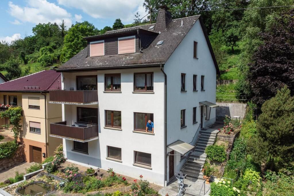Apartment Rheintal-ferien - 90 Qm Mit Wine & Style - Dein Urlaub Am Rhein